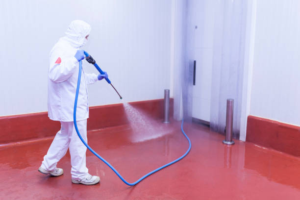 Professional Pressure Washing in Tennessee Ridge, TN